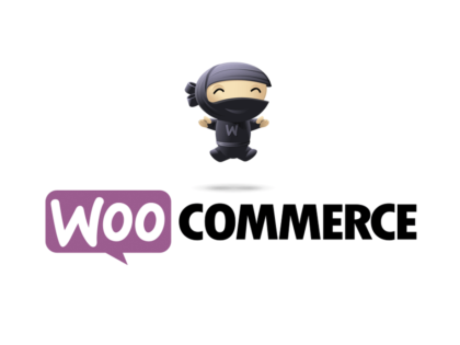 woocommerce_training